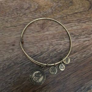 Retired Alex and Ani St Christopher Bangle